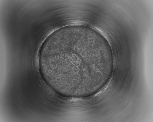 X0000093480835200711091625
