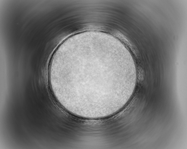 X0000093480836200711091625