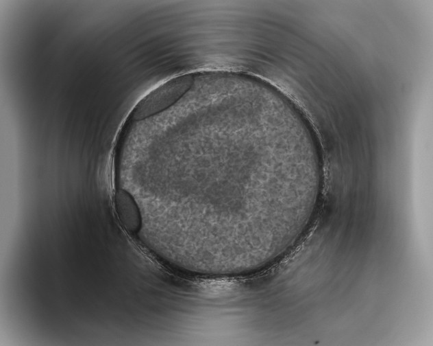 X0000093480838200711091625