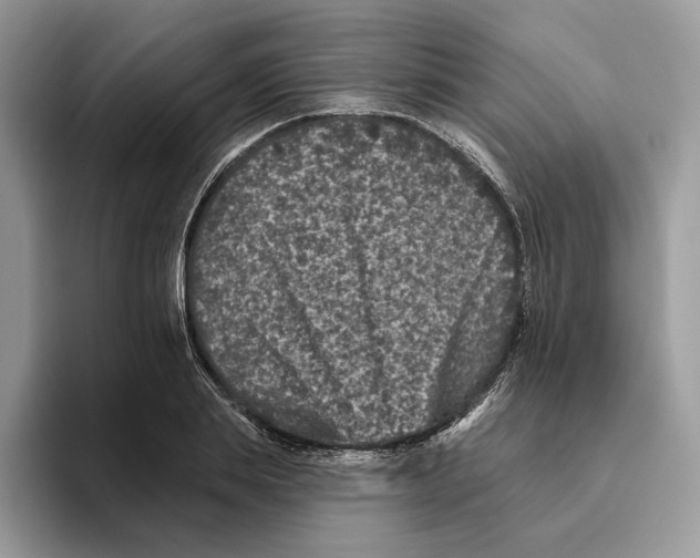 X0000093480839200711091625