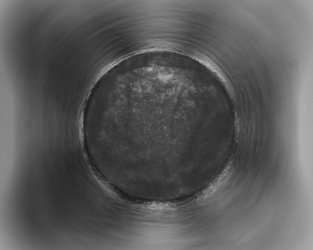 X0000093480842200711091625
