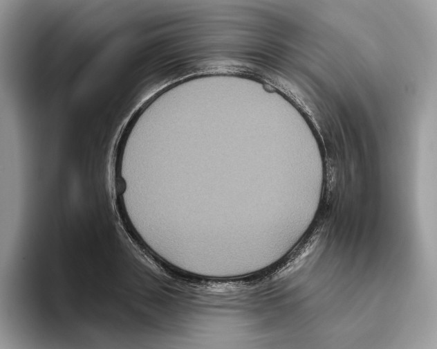 X0000093480843200711091625
