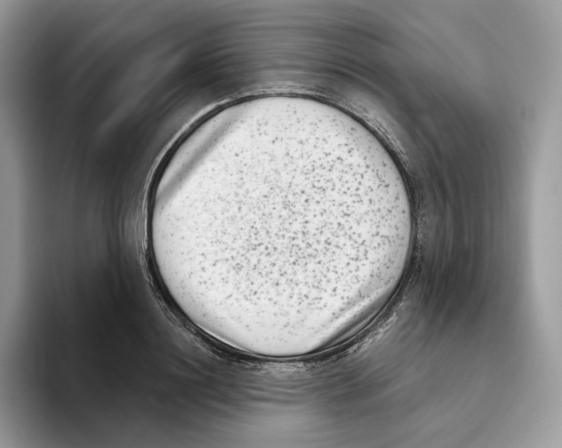 X0000093480844200711091625