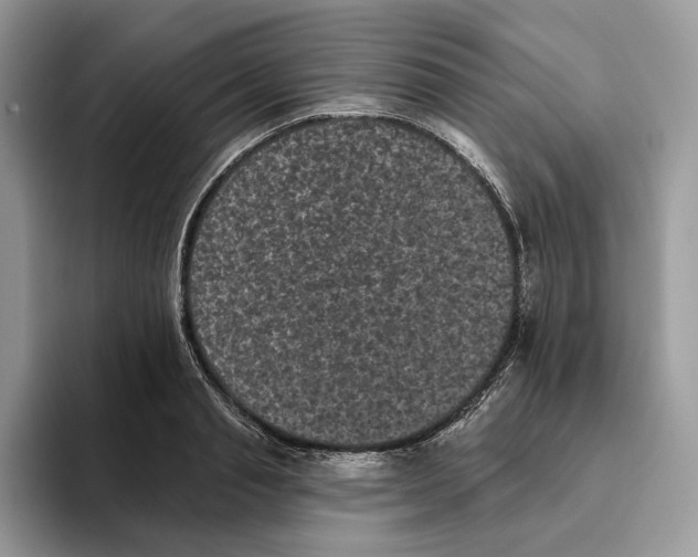X0000093480845200711091625