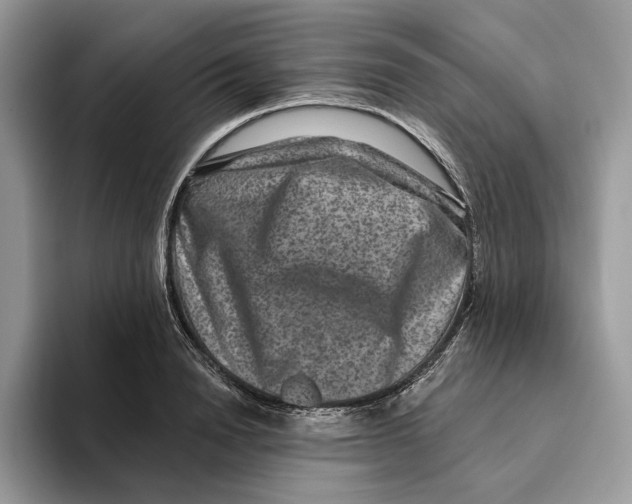 X0000093480846200711091625