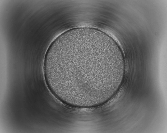 X0000093480847200711091625