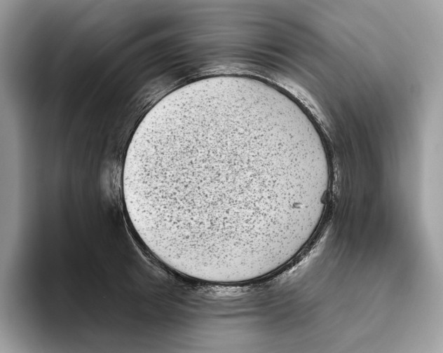 X0000093480849200711091625