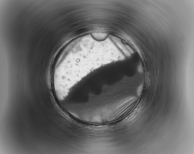X0000093480851200711091625