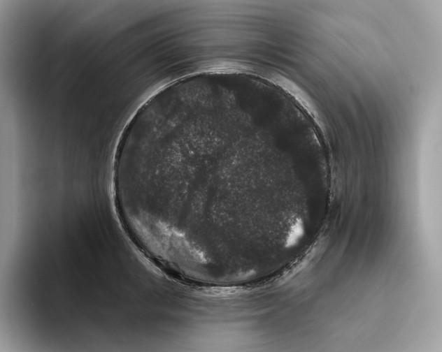X0000093480853200711091625
