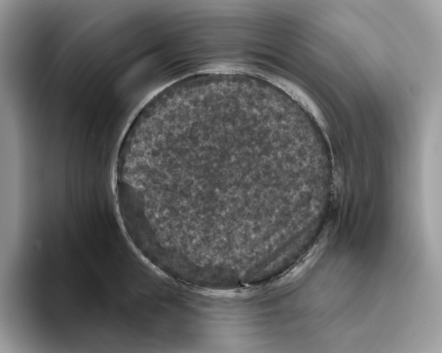 X0000093480855200711091625