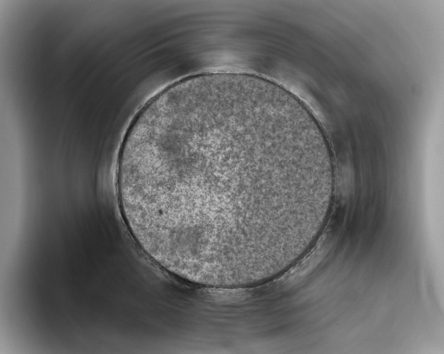 X0000093480856200711091625