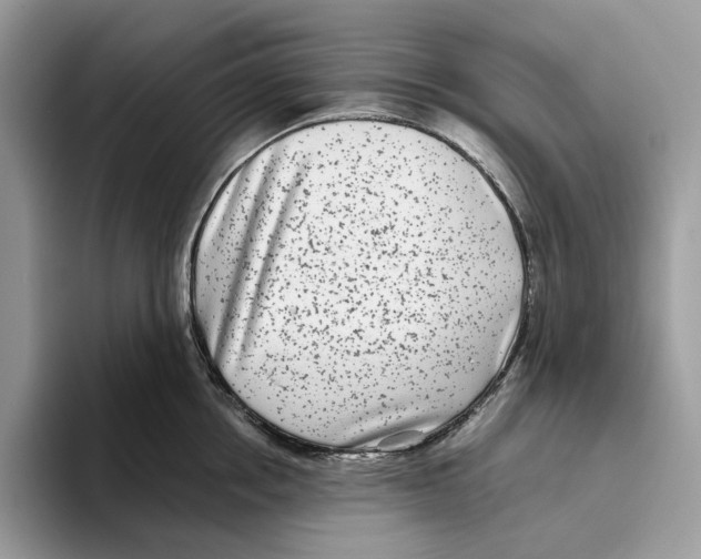 X0000093480858200711091625