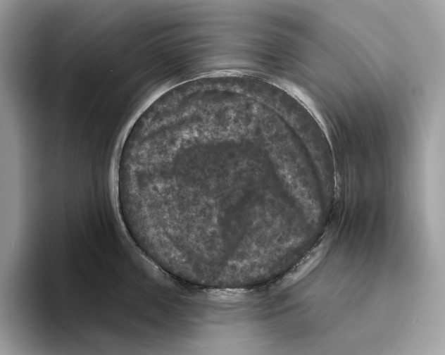 X0000093480859200711091625