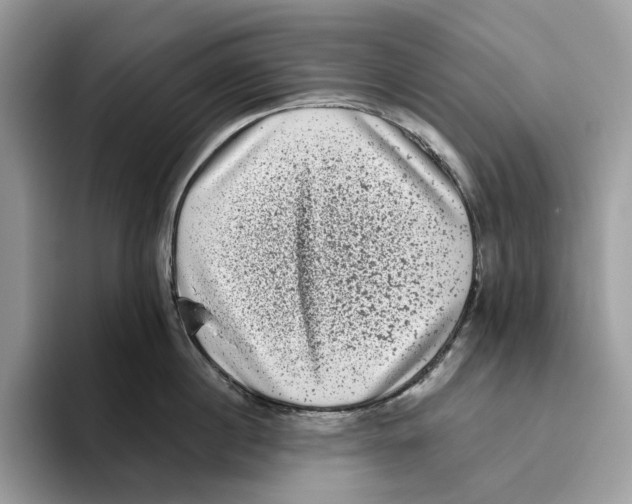 X0000093480860200711091625