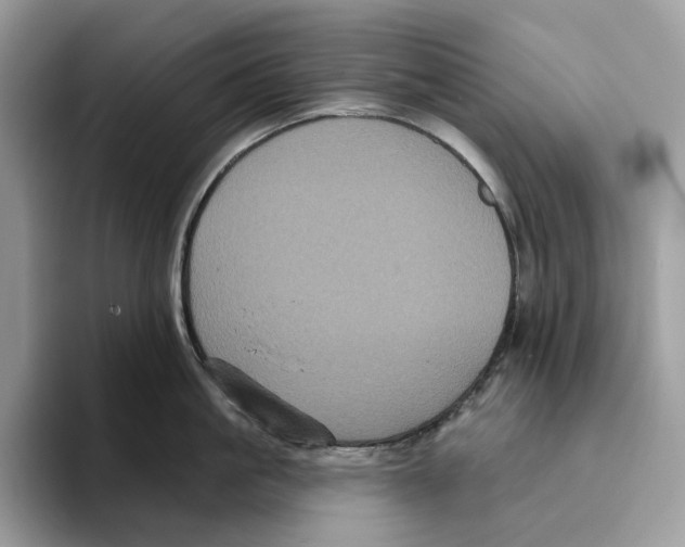 X0000093480861200711091625
