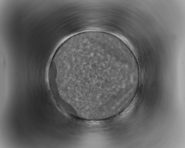 X0000093480862200711091625