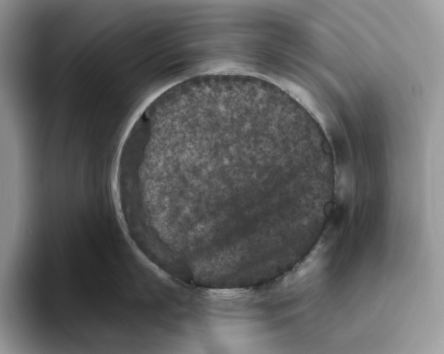 X0000093480863200711091625