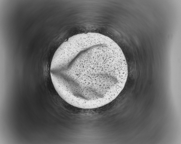 X0000093480866200711091624