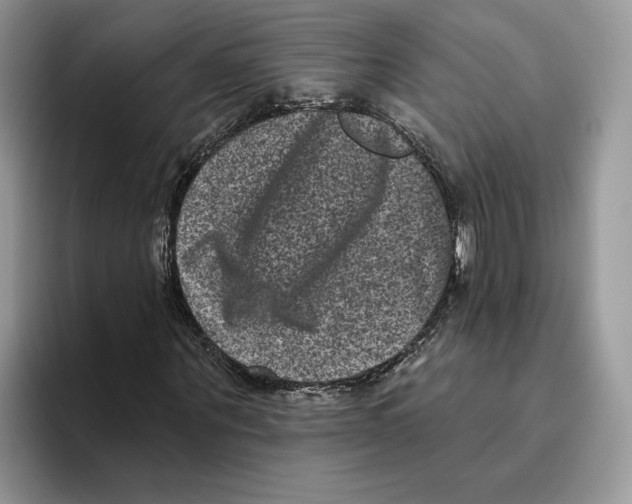 X0000093480867200711091624