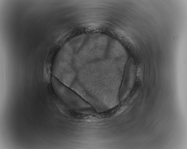 X0000093480868200711091624