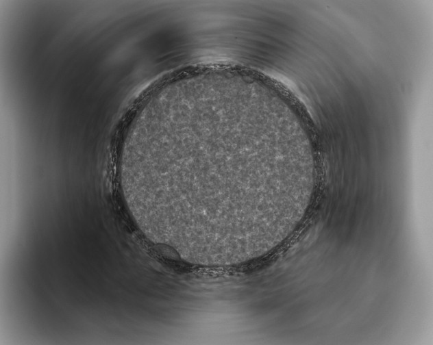 X0000093480871200711091624
