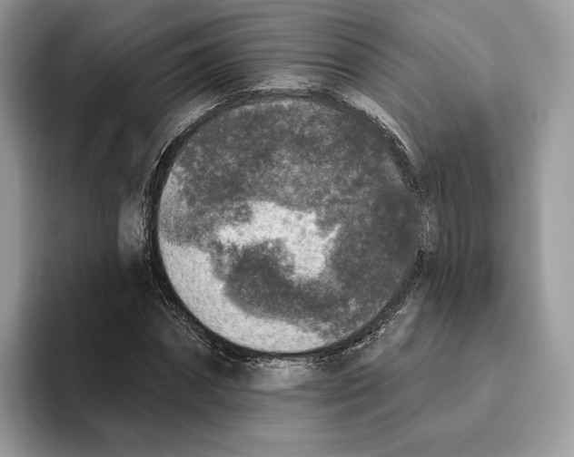 X0000093480874200711091624