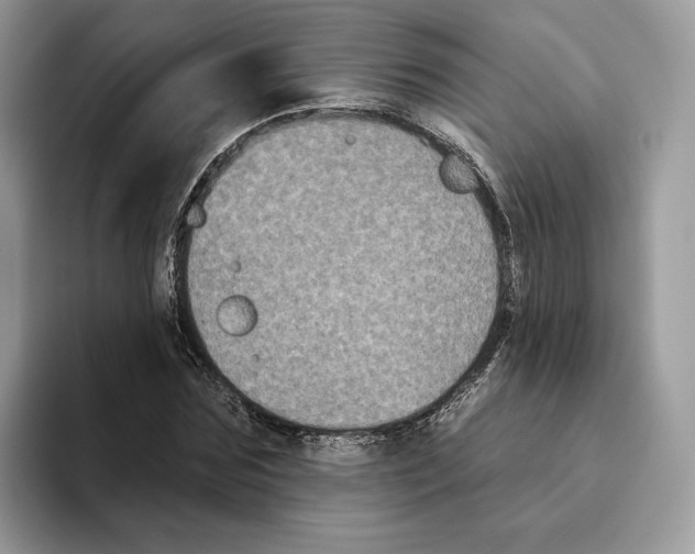 X0000093480875200711091624