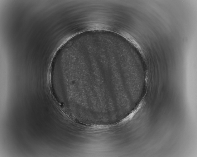 X0000093480877200711091624