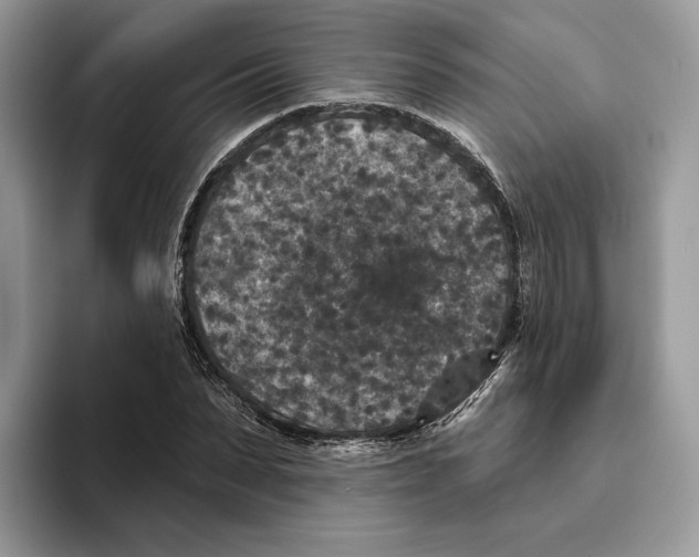 X0000093480879200711091624