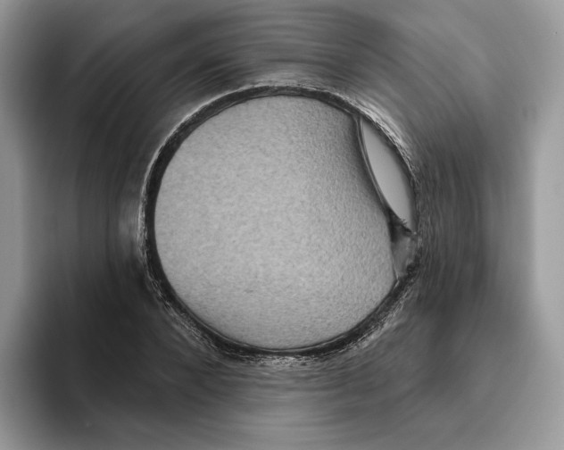 X0000093480880200711091624