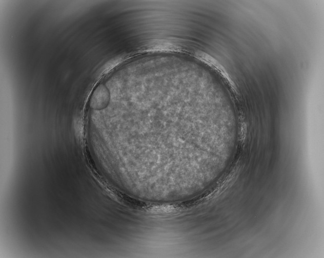 X0000093480882200711091624