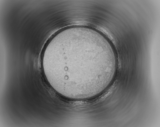 X0000093480883200711091624
