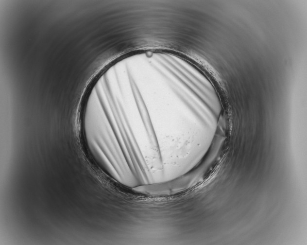 X0000093480885200711091624