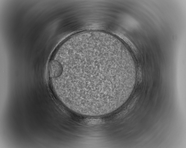 X0000093480886200711091624
