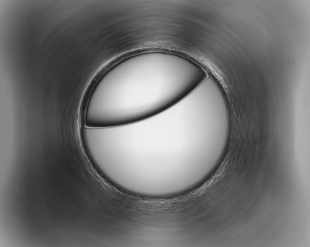 X0000093480888200711091624