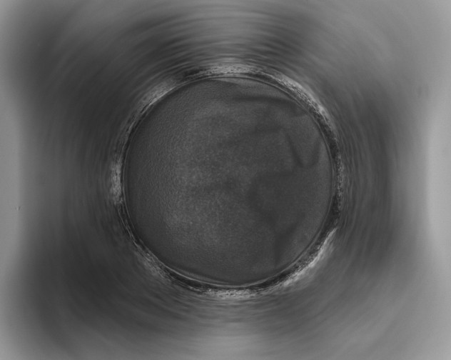 X0000093480889200711091624