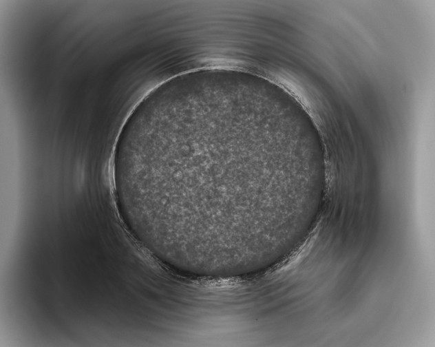 X0000093480891200711091624
