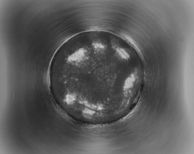 X0000093480892200711091624