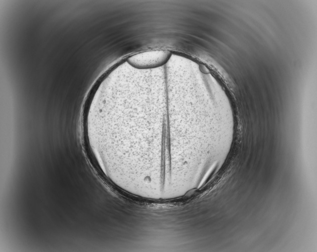 X0000093480894200711091624