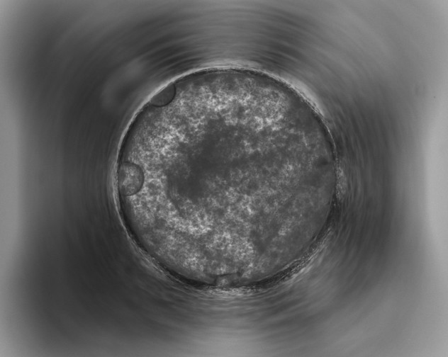 X0000093480895200711091624