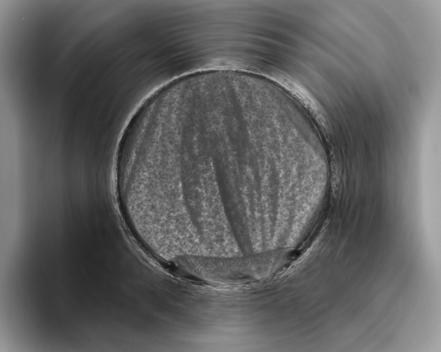 X0000093480896200711091624