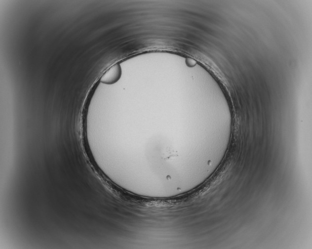 X0000093480898200711091624