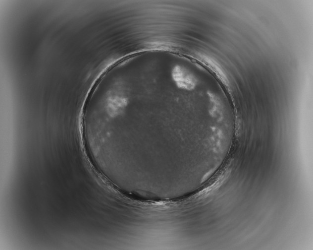 X0000093480899200711091624