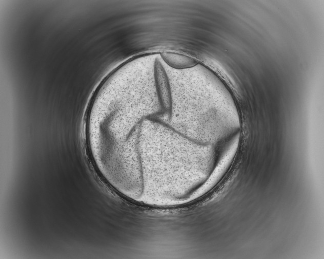 X0000093480900200711091624