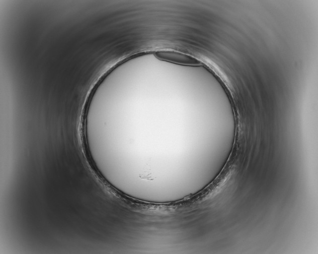 X0000093480901200711091624