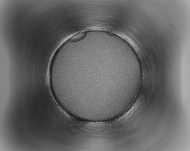 X0000093480902200711091624