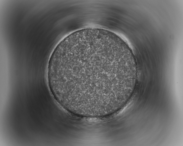 X0000093480903200711091624