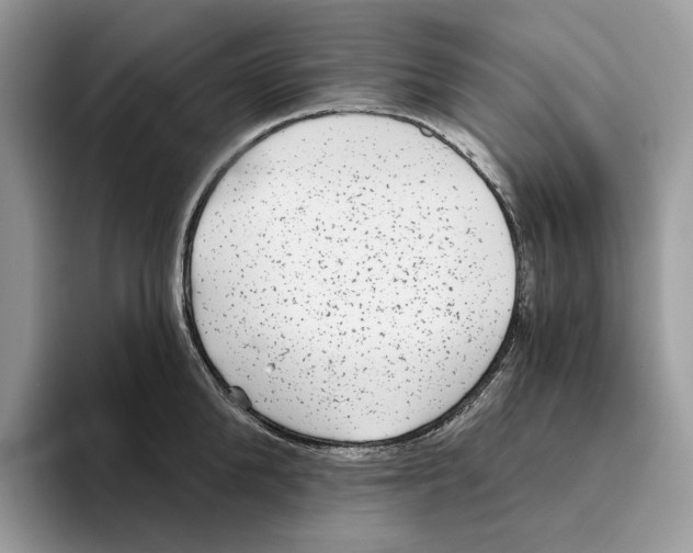 X0000093480904200711091624