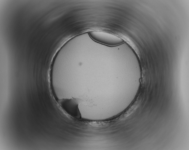 X0000093480906200711091624