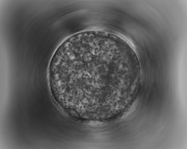 X0000093480907200711091624